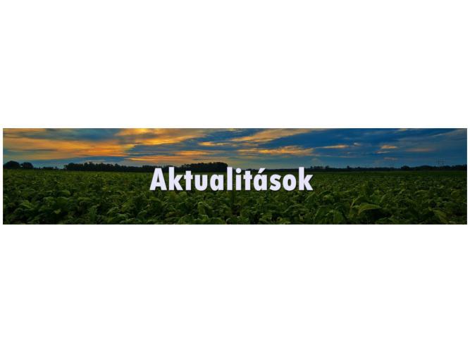 Aktualitások
